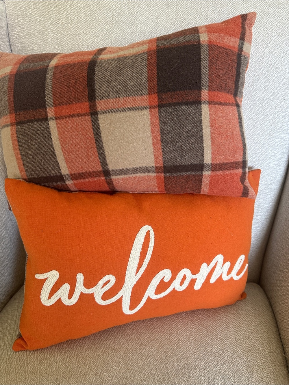 Pair of Fall Accent Pillows
